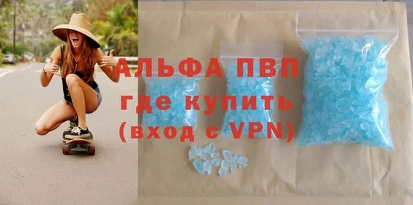 прущие грибы Аркадак