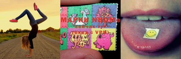 прущие грибы Аркадак