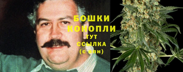 прущие грибы Аркадак