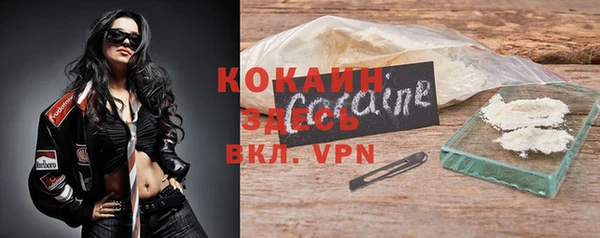 прущие грибы Аркадак