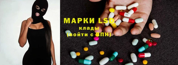 прущие грибы Аркадак